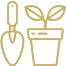 Sacred Garden with Buddha