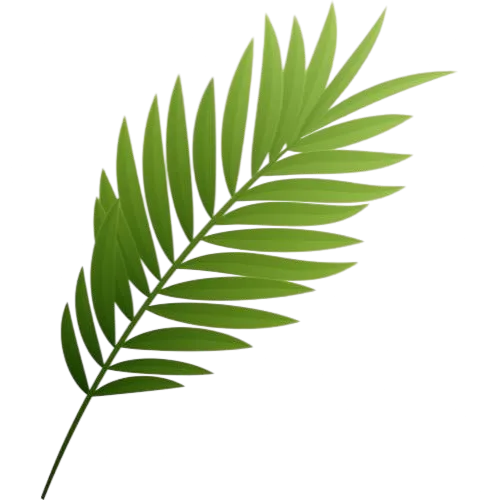 Leaf Icon