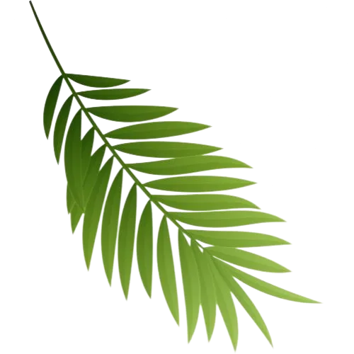 Leaf Icon