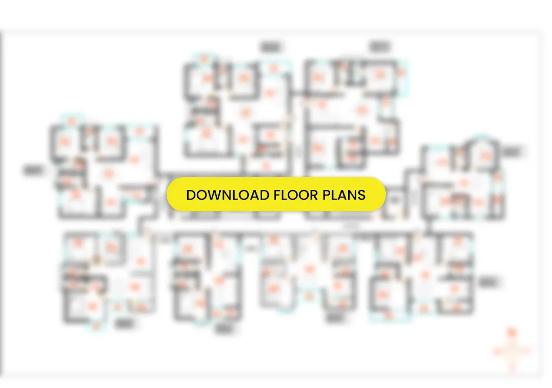 Canvas Floor Plan