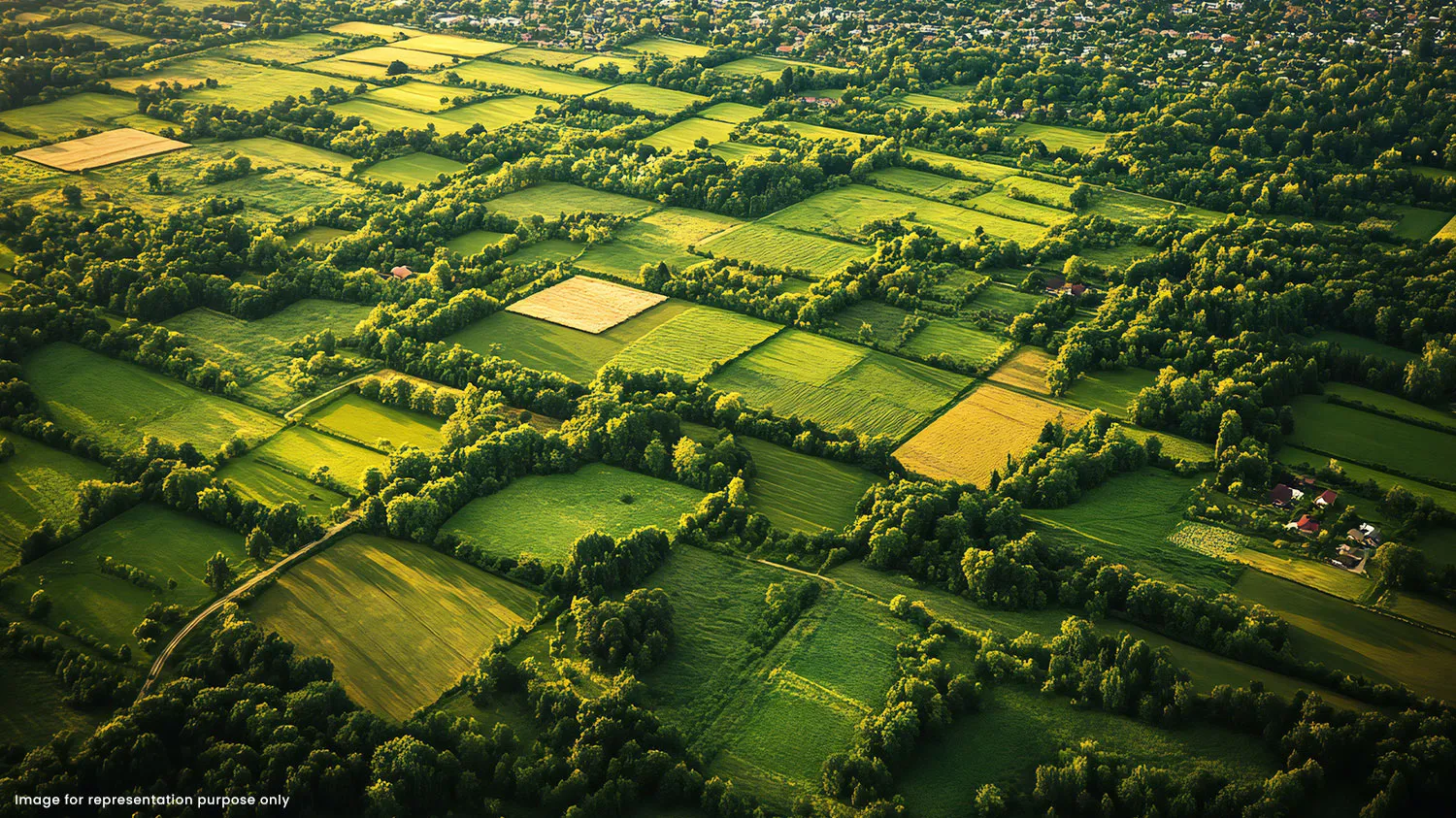 Gallery Photo of 24K Manor