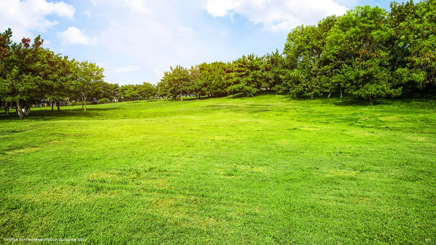 Gallery Photo of 24K Manor