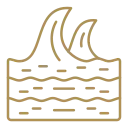 runwal icon